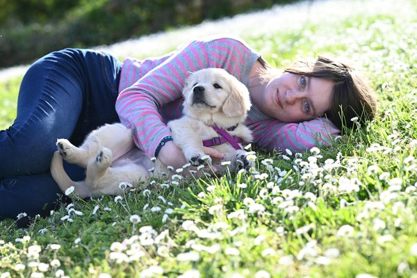 Les indispensables à savoir pour bien accueillir un chien